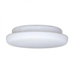 Buy ⌛ Patriot Lighting®Frosted White Replacement Glass ⌛