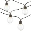 New 🎁 Patriot Lighting® 39' 8" 40-Light Clear Globe LED String Light 🎁 2 New 🎁 Patriot Lighting® 39' 8" 40-Light Clear Globe LED String Light 🎁 -Patriot Lighting Sales 2775490