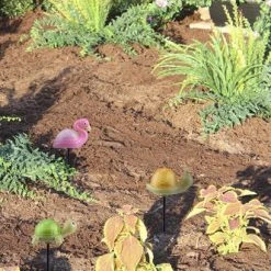 Outlet 🛒 Patriot Lighting® Solar Integrated LED Snail/Turtle/Flamingo Landscape Light - Assorted 😀 -Patriot Lighting Sales 343 6144 P SC