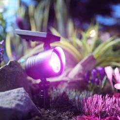 Deals ⭐ Patriot Lighting® Solar Integrated LED Color Changing Spot Landscape Light 💯 10 Deals ⭐ Patriot Lighting® Solar Integrated LED Color Changing Spot Landscape Light 💯 -Patriot Lighting Sales 3434420 P SC LIT