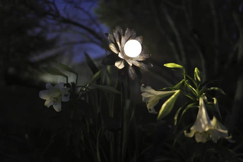 Budget ⌛ Patriot Lighting® Solar Integrated LED Galvanized Flower Landscape Light ⭐ 5 Budget ⌛ Patriot Lighting® Solar Integrated LED Galvanized Flower Landscape Light ⭐ - Image 3