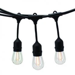Best reviews of 🔔 Patriot Lighting® 36' Plug-In 18-Light Warm White LED String Light ✨
