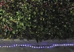 Flash Sale ✔️ Patriot Lighting® Solar Integrated LED Rope Light ✨ -Patriot Lighting Sales 346 2009 1