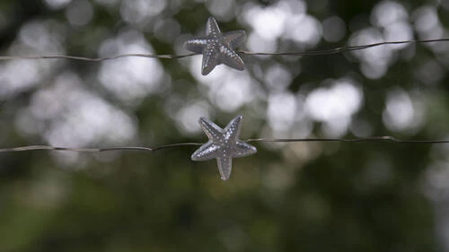 Hot Sale 🥰 Patriot Lighting® 7' 2-3/8" 20-Light Battery-Powered Starfish LED String Light 🧨 5 Hot Sale 🥰 Patriot Lighting® 7' 2-3/8" 20-Light Battery-Powered Starfish LED String Light 🧨 - Image 3