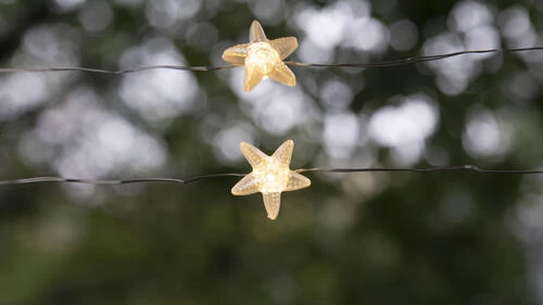 Hot Sale 🥰 Patriot Lighting® 7' 2-3/8" 20-Light Battery-Powered Starfish LED String Light 🧨 3 Hot Sale 🥰 Patriot Lighting® 7' 2-3/8" 20-Light Battery-Powered Starfish LED String Light 🧨