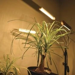 Cheap 🔔 Patriot Lighting® Tripod 3 Light LED Grow Light 🔔 24 Cheap 🔔 Patriot Lighting® Tripod 3 Light LED Grow Light 🔔 -Patriot Lighting Sales 347 0900 GT FL 3GL SC4