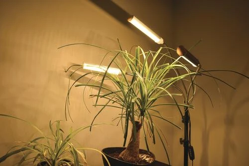 Cheap 🔔 Patriot Lighting® Tripod 3 Light LED Grow Light 🔔 11 Cheap 🔔 Patriot Lighting® Tripod 3 Light LED Grow Light 🔔 - Image 9