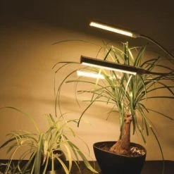 Cheap 🔔 Patriot Lighting® Tripod 3 Light LED Grow Light 🔔 25 Cheap 🔔 Patriot Lighting® Tripod 3 Light LED Grow Light 🔔 -Patriot Lighting Sales 347 0900 GT FL 3GL SC5