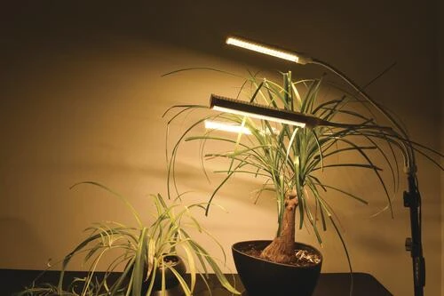 Cheap 🔔 Patriot Lighting® Tripod 3 Light LED Grow Light 🔔 12 Cheap 🔔 Patriot Lighting® Tripod 3 Light LED Grow Light 🔔 - Image 10