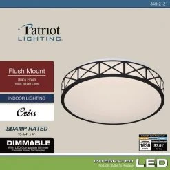 Top 10 👏 Patriot Lighting® Criss Black Integrated LED Flush Mount Ceiling Light 💯 -Patriot Lighting Sales 3482121 Alt7