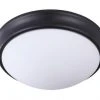 Coupon 🥰 Patriot Lighting® Tuiren Black Flush Mount Ceiling Light 2-Pack 🎉 2 Coupon 🥰 Patriot Lighting® Tuiren Black Flush Mount Ceiling Light 2-Pack 🎉 -Patriot Lighting Sales 3514763 P