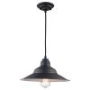Wholesale 😍 Patriot Lighting® Denzel Oil-Rubbed Bronze 1-Light Pendant 👏 -Patriot Lighting Sales 3518485
