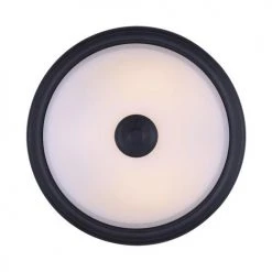 Hot Sale ❤️ Patriot Lighting® Dee Rubbed Antique Bronze 2-Light Flush Mount Ceiling Light 🥰 -Patriot Lighting Sales 3518759 P BTM