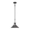 New ⌛ Patriot Lighting® Ashtyn Matte Black & Charcoal Patina 1-Light Mini Pendant 🎉 -Patriot Lighting Sales 3518783 Master