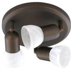 Buy 😉 Patriot Lighting® Jasper Oil-Rubbed Bronze Track Light ⭐