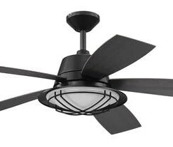 Promo 🤩 Patriot Lighting™ 54" Tess Matte Black Indoor/Outdoor Integrated LED Ceiling Fan ✨