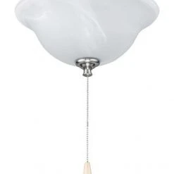 Flash Sale ⌛ Patriot Lighting® White Swirled Marble Bowl LED Ceiling Fan Light 💯