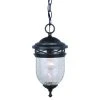 Deals 🛒 Patriot Lighting Elegant Home Patriot Lighting® Elegant Home Oaklynn Forged Sienna Outdoor Pendant Light 👍 2 Deals 🛒 Patriot Lighting Elegant Home Patriot Lighting® Elegant Home Oaklynn Forged Sienna Outdoor Pendant Light 👍 -Patriot Lighting Sales 356 3835 P