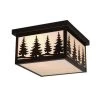 Promo 😉 Patriot Lighting® Forest Burnished Bronze Outdoor Ceiling Light ⌛ -Patriot Lighting Sales 356 9948 P