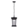 Best Pirce ⭐ Patriot Lighting® Holliday Oil Rubbed Bronze 1 Light Outdoor Pendant ⌛ -Patriot Lighting Sales 3561126 P FR