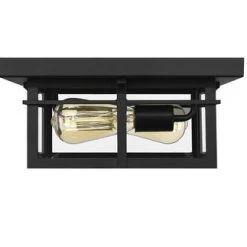 Coupon 🎉 Patriot Lighting® Ward Matte Black Flush Mount Outdoor Ceiling Light 🥰 -Patriot Lighting Sales 3561189 P ALT2