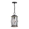Wholesale 👍 Patriot Lighting® Elegant Home Bodhi Black & Replica Wood Outdoor Pendant Light ✨ 2 Wholesale 👍 Patriot Lighting® Elegant Home Bodhi Black & Replica Wood Outdoor Pendant Light ✨ -Patriot Lighting Sales 3563823 Master
