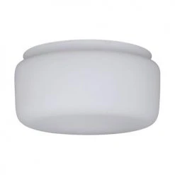Coupon 👏 Patriot Lighting® Frosted Opal Replacement Glass ✔️