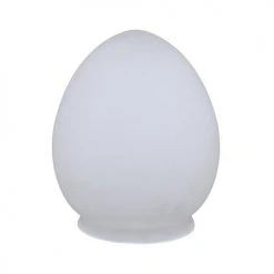 Deals 🥰 Patriot Lighting® Frosted Replacement Glass 🔔