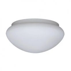 Brand new ❤️ Patriot Lighting® Etched White Replacement Glass 🥰