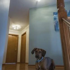 Buy 🔔 Patriot Lighting® Addison Satin Nickel Semi-Flush Mount Ceiling Light 🧨 18 Buy 🔔 Patriot Lighting® Addison Satin Nickel Semi-Flush Mount Ceiling Light 🧨 -Patriot Lighting Sales C0170 L7