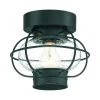 Top 10 ✔️ Patriot Lighting® Shoalview Bronze 1-Light Outdoor Flush Mount Ceiling Light ⌛ 2 Top 10 ✔️ Patriot Lighting® Shoalview Bronze 1-Light Outdoor Flush Mount Ceiling Light ⌛ -Patriot Lighting Sales MND20325Q1