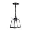 New 😉 Patriot Lighting® Grant Black 1 Light Mini Pendant 👏 -Patriot Lighting Sales P0346