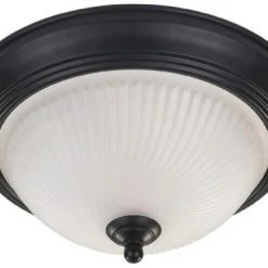 Coupon 😀 Patriot Lighting® Replacement Glass Shade For Frosted Glass Flush Mount 🎉