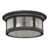 Coupon 👏 Patriot Lighting® Hanover Brushed Iron 2-Light Outdoor Flush Mount Light ✨ -Patriot Lighting Sales T0155