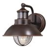 Buy 💯 Patriot Lighting® Dualux® Harwich Burnished Bronze Outdoor Wall Light 🧨 -Patriot Lighting Sales T0252