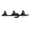 Coupon ✔️ Patriot Lighting® Akron Oil Rubbed Bronze 3 Light Vanity Light ✨ -Patriot Lighting Sales W0285