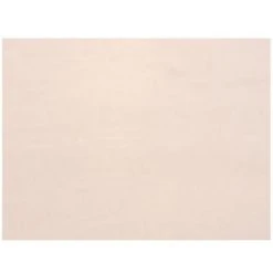 Brand new 👍 Patriot Lighting® White Panel Replacement Glass ⌛