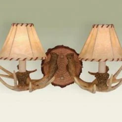 Buy ✔️ Patriot Lighting® Lodge 2-Light Noachian Stone Indoor Wall Light 👍